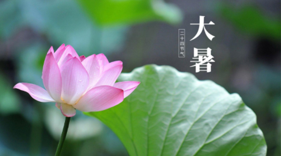 大暑時節(jié)！金環(huán)電器提醒大家注意這些干衣細(xì)節(jié)