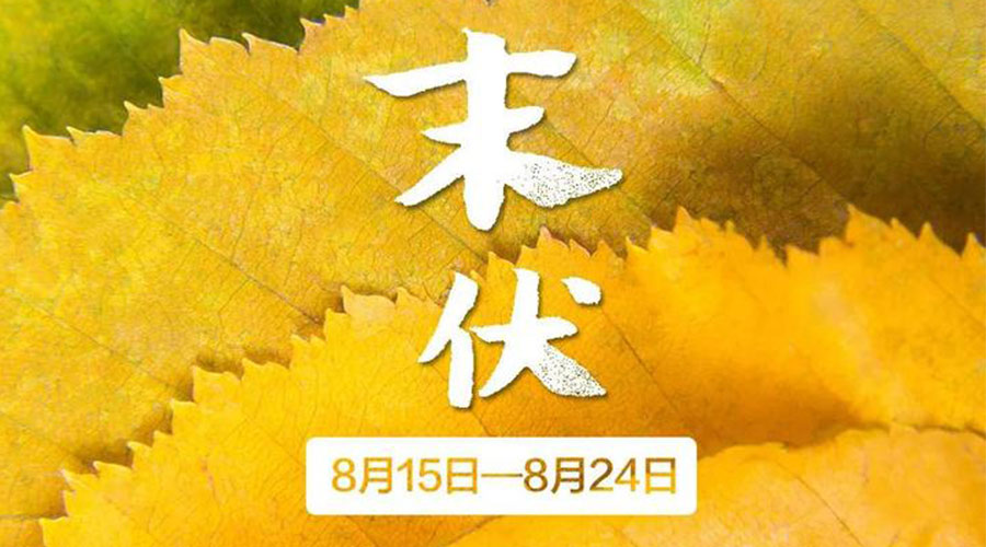 末伏時節(jié)！金環(huán)電器提醒你謹(jǐn)記這些注意事項