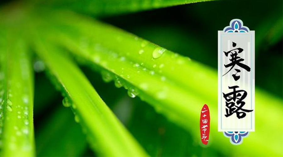 寒露時節(jié)到！金環(huán)電器提醒這些干衣事項要注意