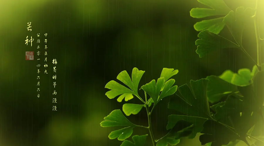 芒種時節(jié)！金環(huán)電器提醒大家的注意事項