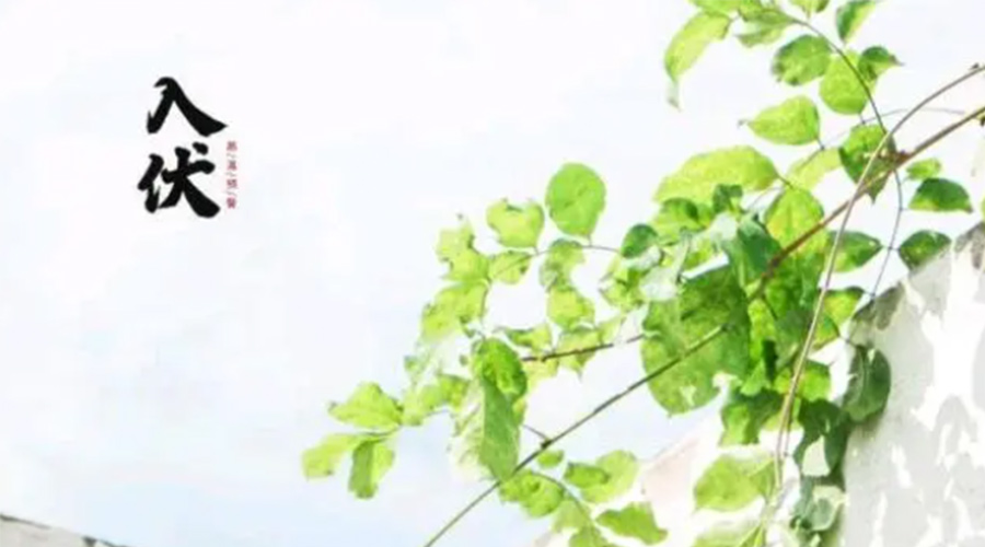 初伏時節(jié)！金環(huán)電器提醒大家要注意的事項