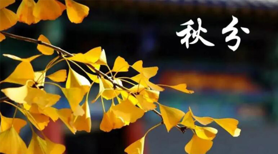 秋分時節(jié)！金環(huán)電器提醒大家要注意的事項