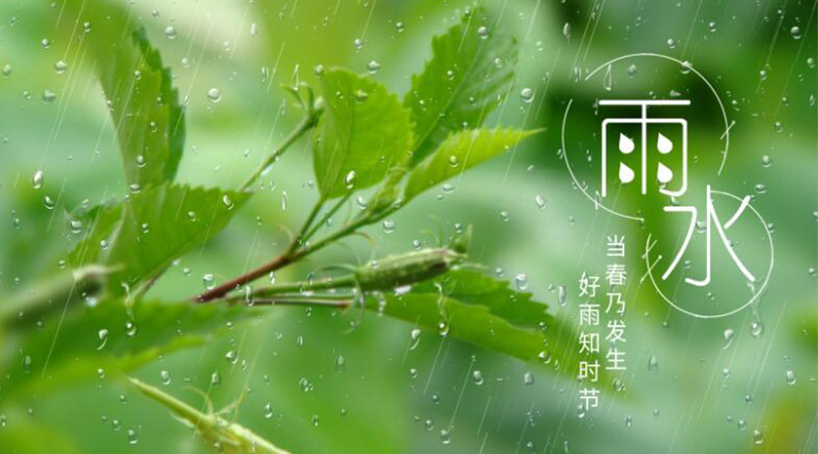 雨水時(shí)節(jié)！金環(huán)電器提醒大家要注意的事項(xiàng)